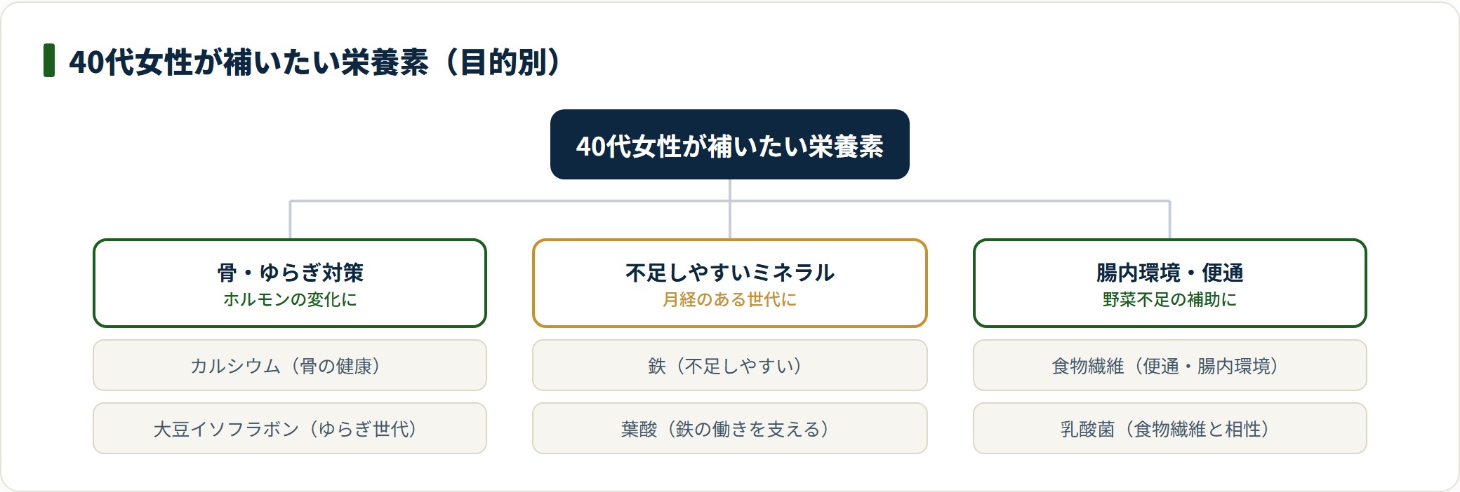 40代女性が補いたい栄養素はカルシウム・鉄・食物繊維・乳酸菌・大豆イソフラボンで、目的別に整理できる