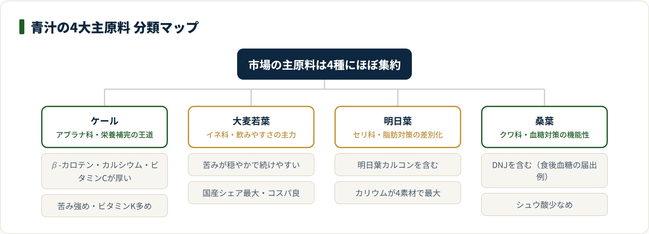 青汁の4大主原料を科と役割で分類したツリー図。