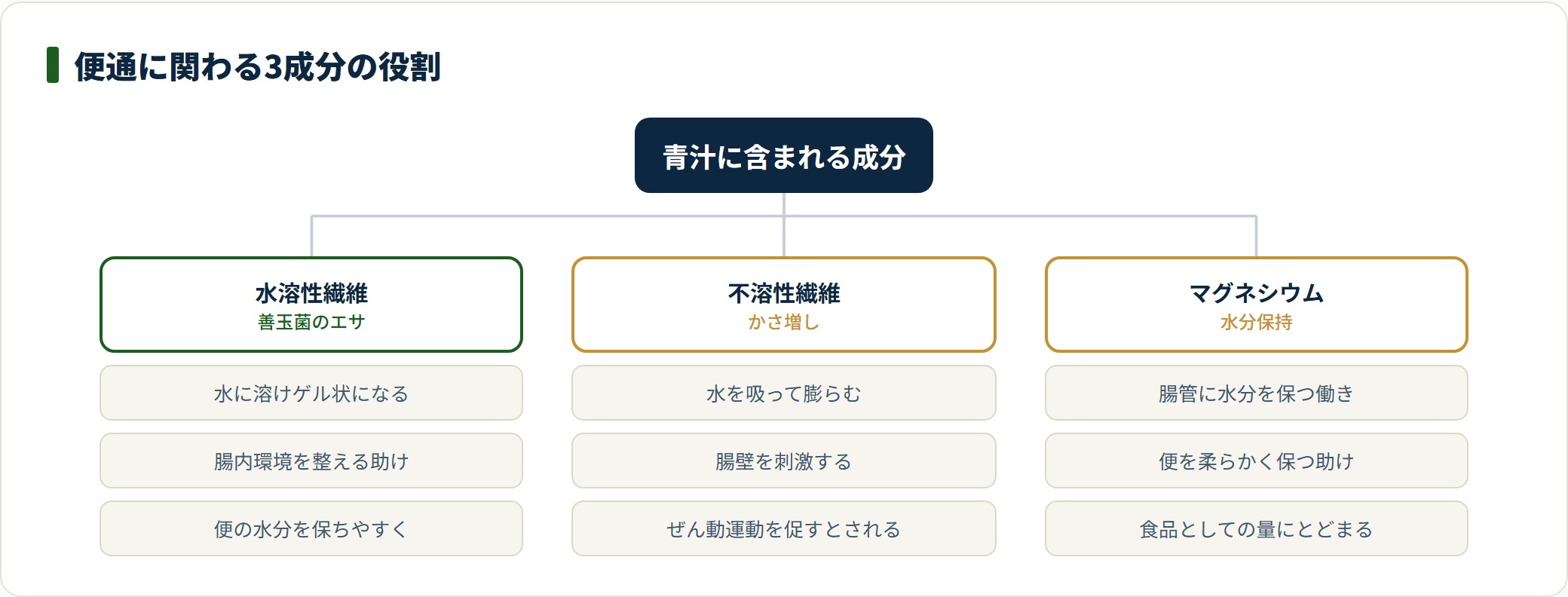 青汁に含まれる水溶性食物繊維・不溶性食物繊維・マグネシウムが、便通に対してそれぞれどのような役割を持つとされるかを整理したツリー図。
