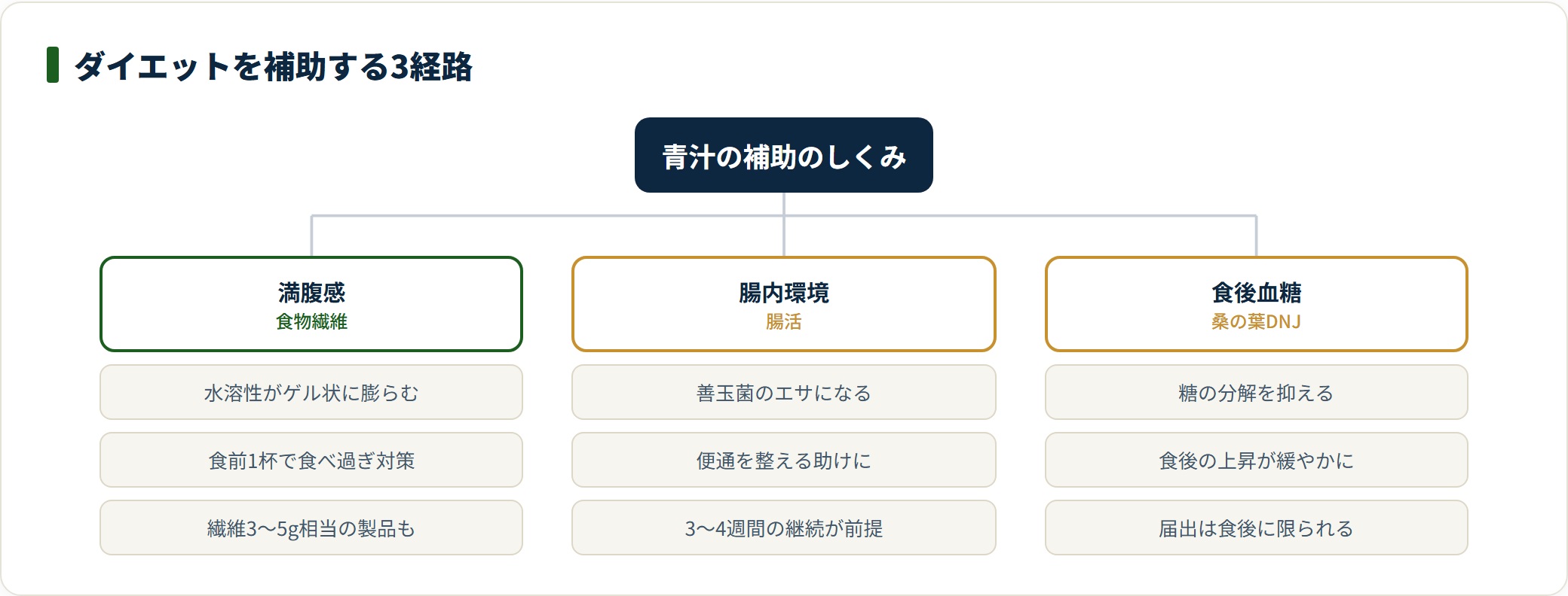 青汁がダイエットを補助するとされるしくみを、満腹感・腸内環境・食後血糖という3つの経路に分けて整理したツリー図。単独で痩せるものではない。
