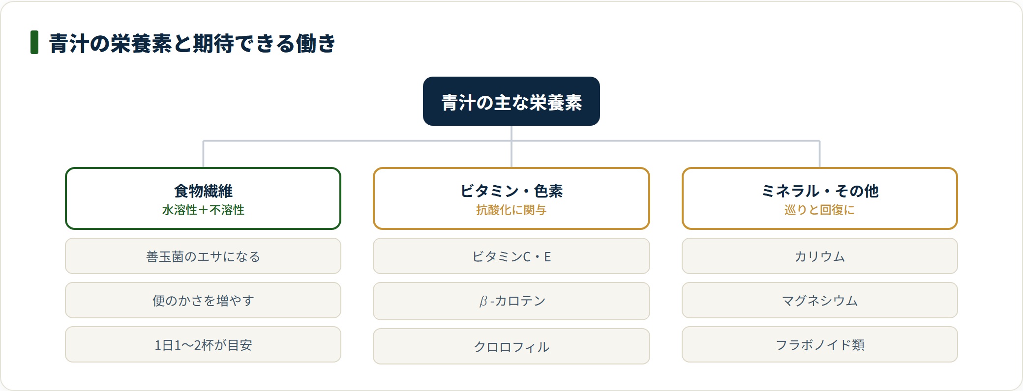 青汁の主な栄養素を食物繊維・ビタミンおよび色素・ミネラルの3系統に分類し、腸内環境や抗酸化など期待できる働きを整理した図。