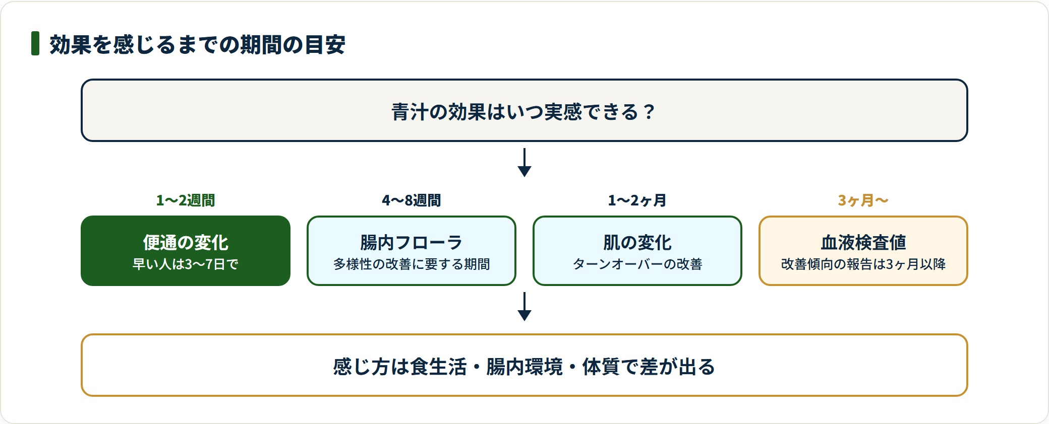 青汁の効果を感じるまでの期間を示した図。便通は1〜2週間、腸内フローラは4〜8週間、肌は1〜2ヶ月、血液検査値は3ヶ月以降が目安としている。