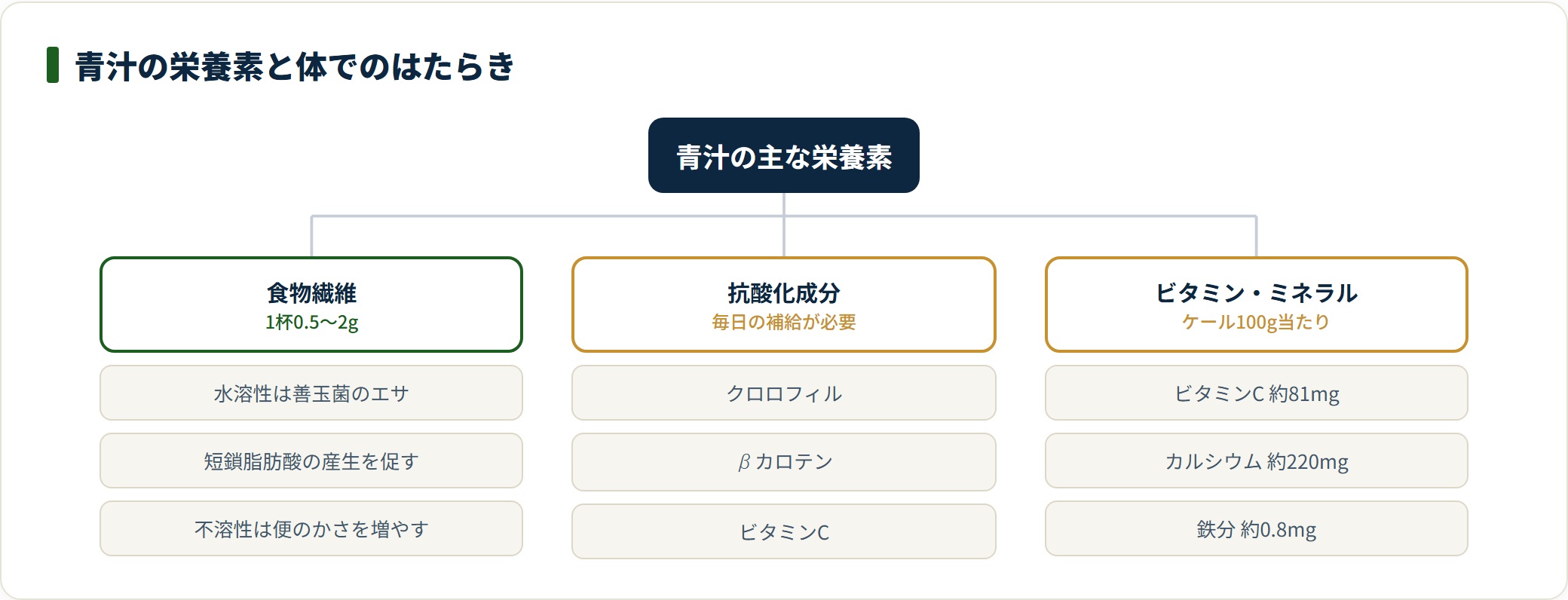 青汁の主な栄養素を食物繊維・抗酸化成分・ビタミンおよびミネラルに分類した図。ケール100g当たりのビタミンCやカルシウムの含有量も示している。