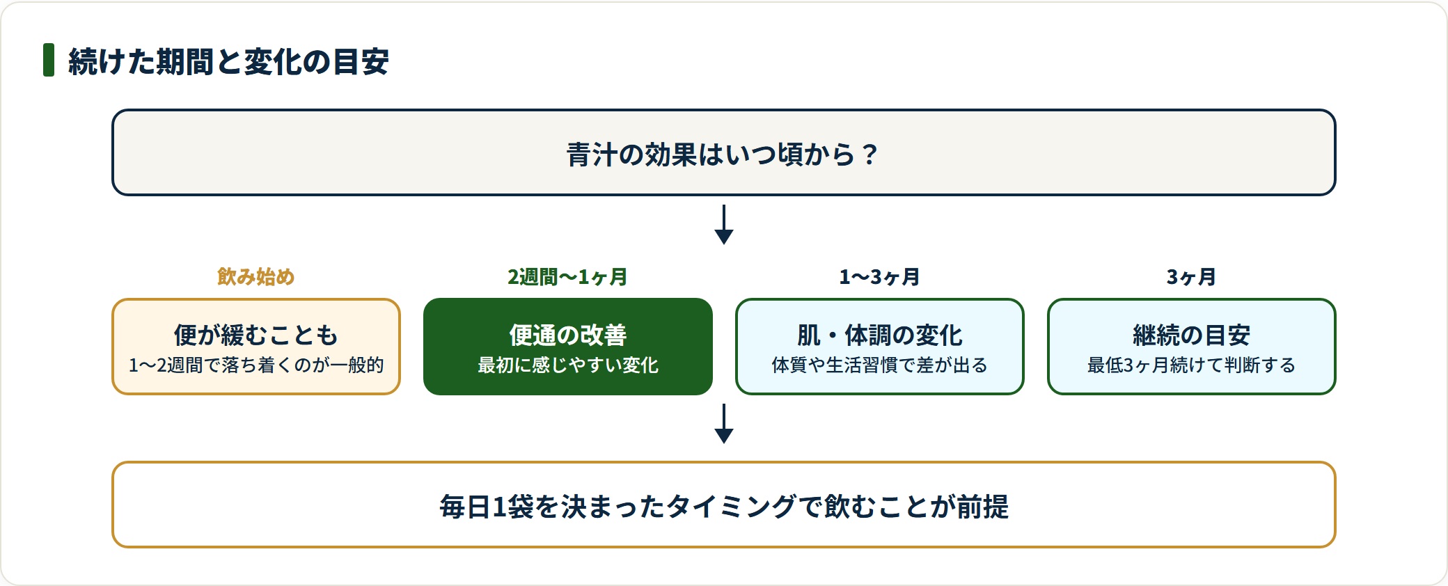 青汁を続けた期間別の変化の目安を示した図。飲み始めは便が緩むことがあり、2週間〜1ヶ月で便通、1〜3ヶ月で肌や体調の変化、3ヶ月を継続判断の節目としている。