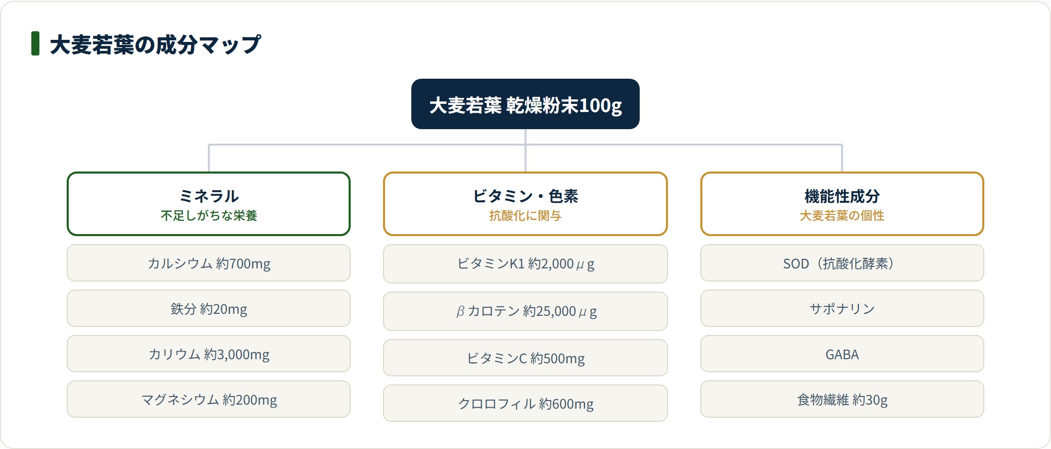大麦若葉の乾燥粉末100g当たりの成分をミネラル・ビタミンおよび色素・機能性成分に分類した図。カルシウム約700mgやビタミンK1約2,000μgなどの含有量を示している。