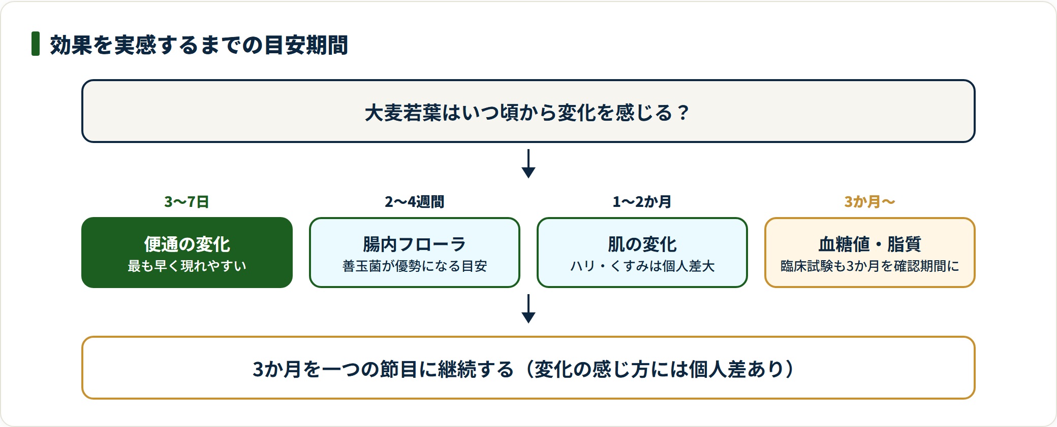 大麦若葉を続けたときの変化の目安期間を示した図。便通は3〜7日、腸内フローラは2〜4週間、肌は1〜2か月、血糖値や脂質は3か月以上が目安と整理している。