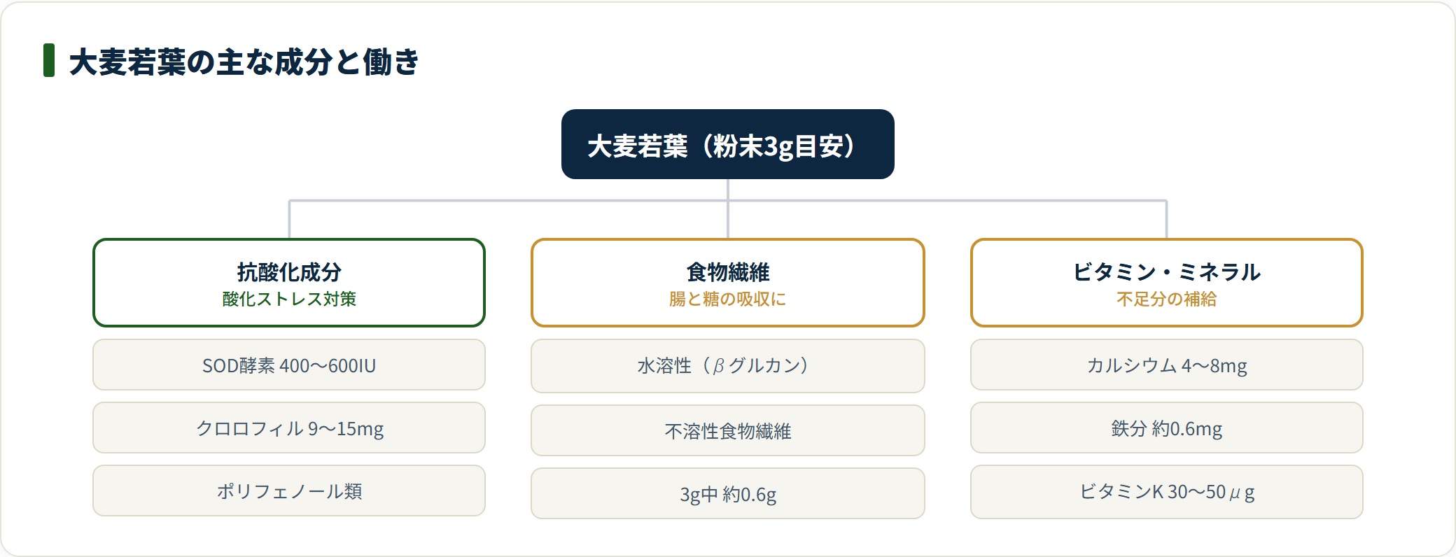 大麦若葉の粉末3gに含まれる成分を抗酸化成分・食物繊維・ビタミン／ミネラルの3系統に分類した図。SOD酵素やクロロフィル、βグルカンなどの含有量を示している。